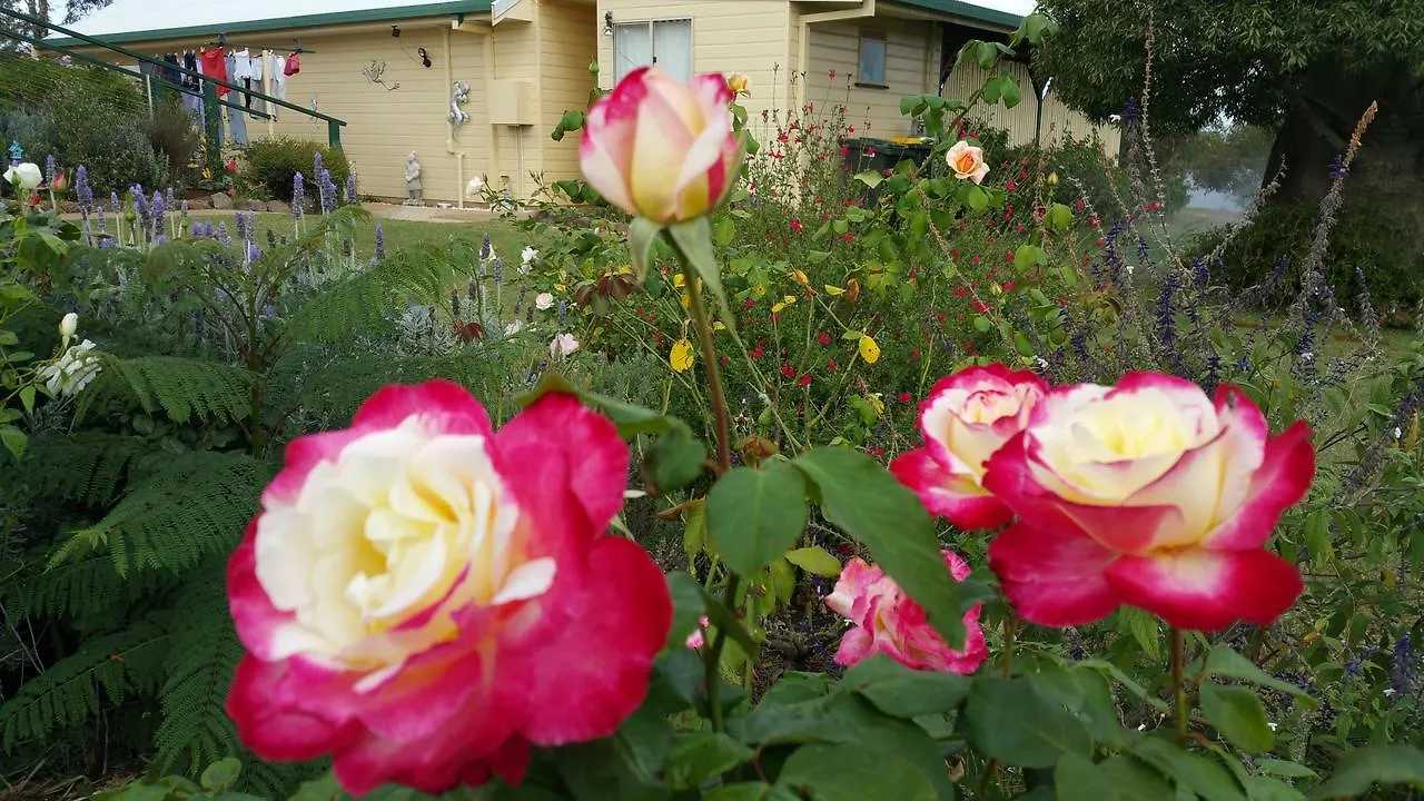 Bed & Breakfast Birdhouse Cottage B&B Warwick